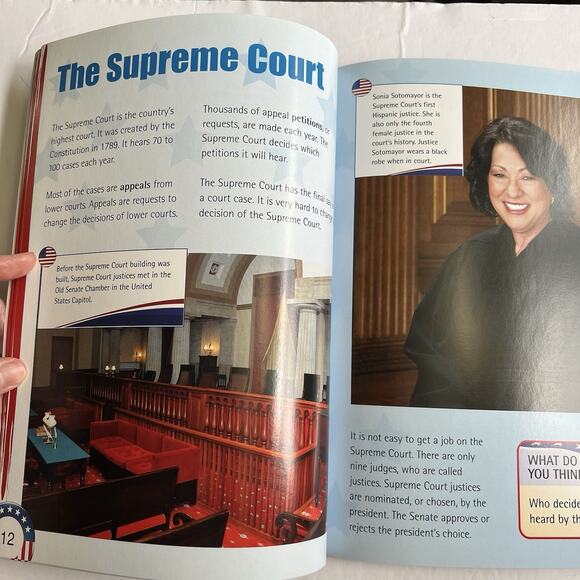 What Is the Judicial Branch by Ellen Rodger Paperback Educational Book - Picture 6 of 9